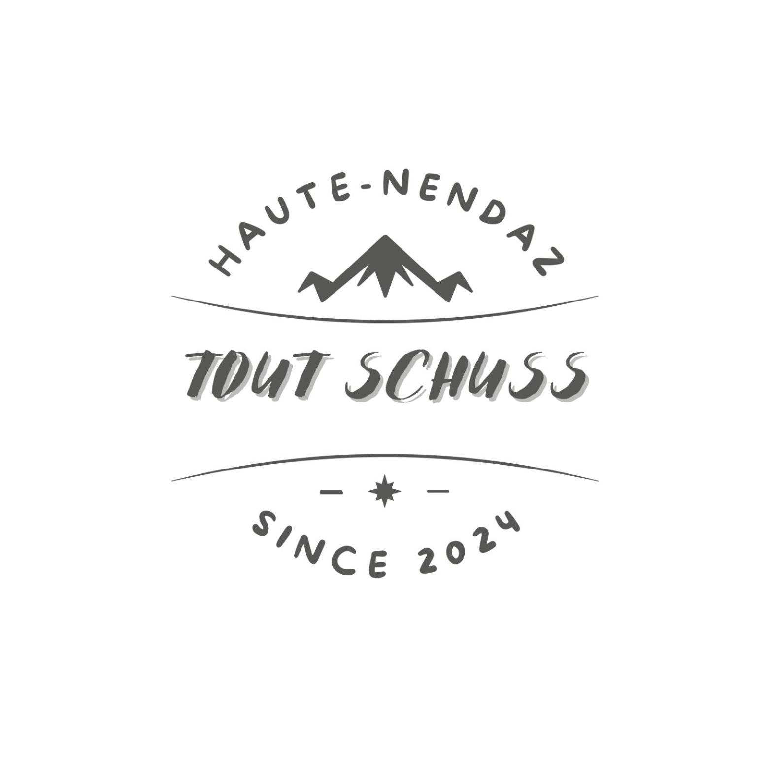 Tout Schuss Nendaz Εξωτερικό φωτογραφία